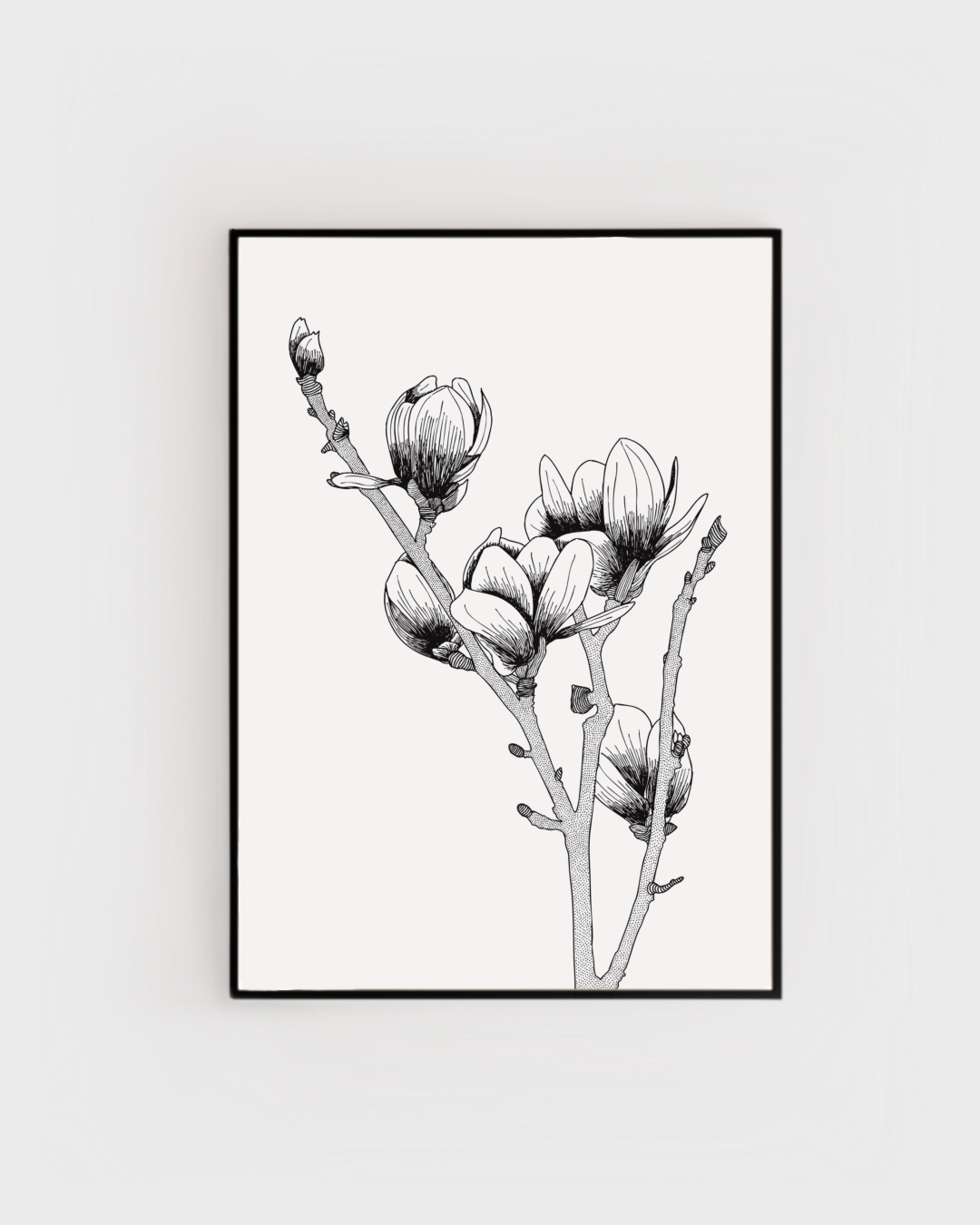 Magnolia