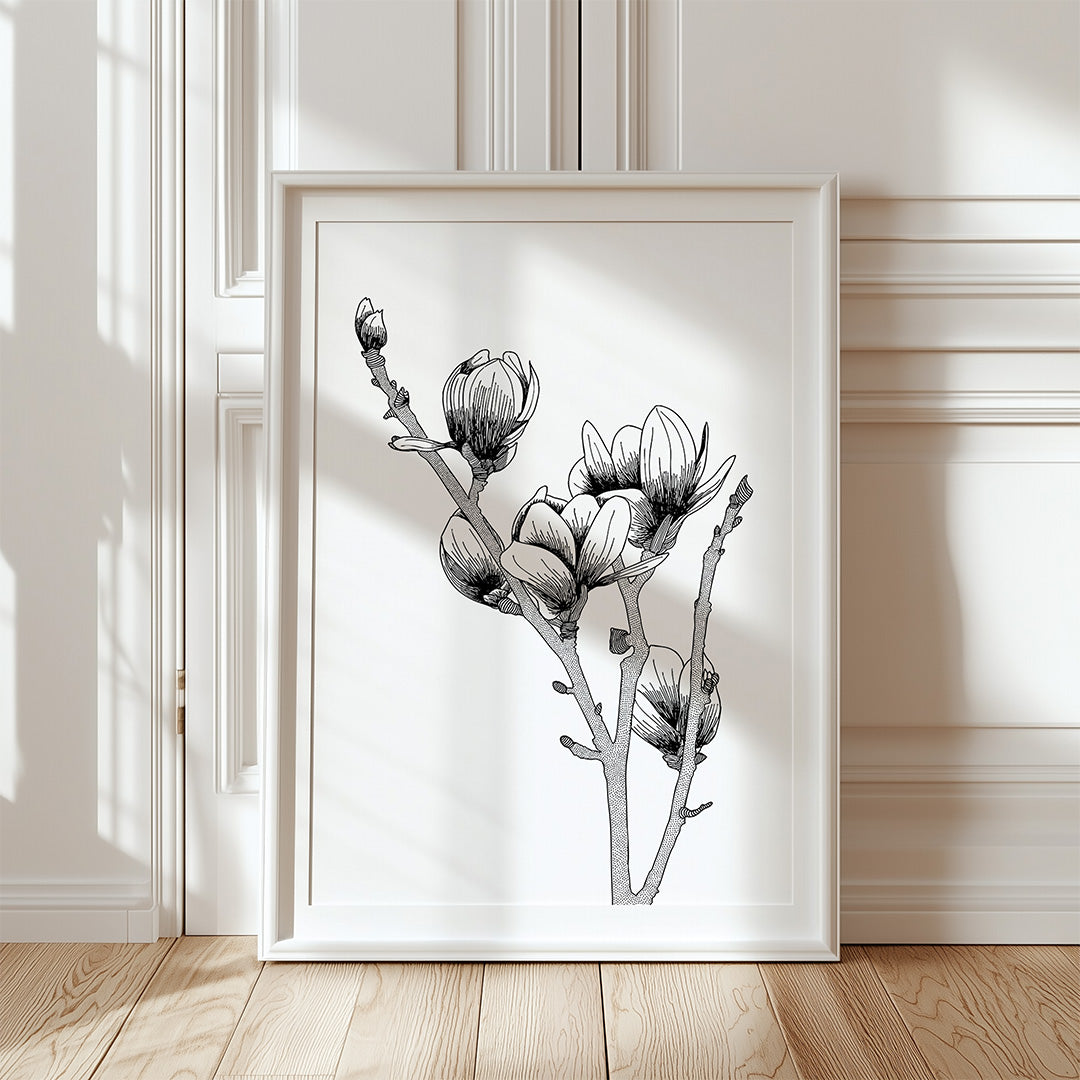 Magnolia