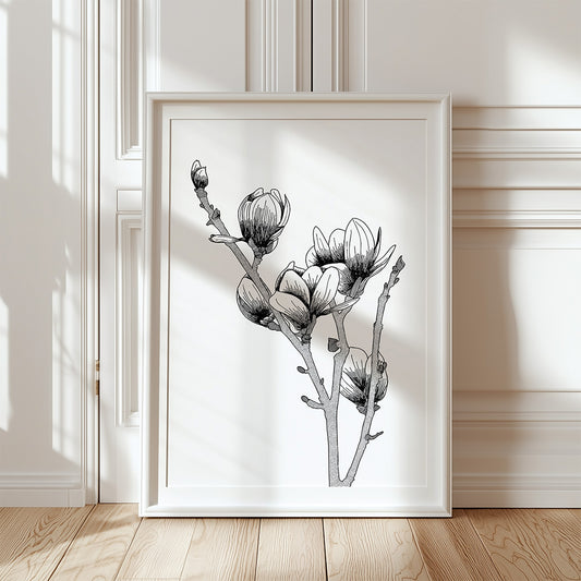 Magnolia